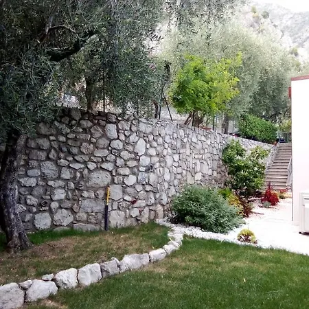 La Casa Sul - Lemon Tree